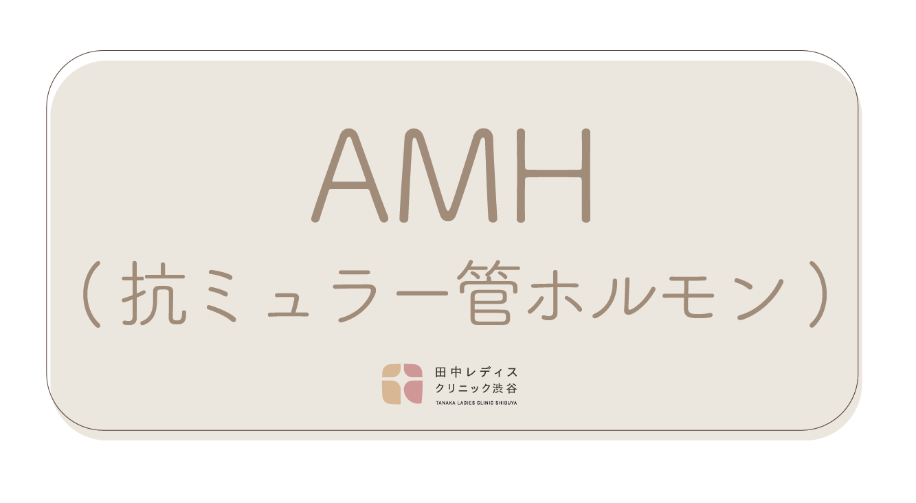 AMH（抗ミュラー管ホルモン） | 田中レディスクリニック渋谷 | 東京都渋谷区の不妊治療・体外受精