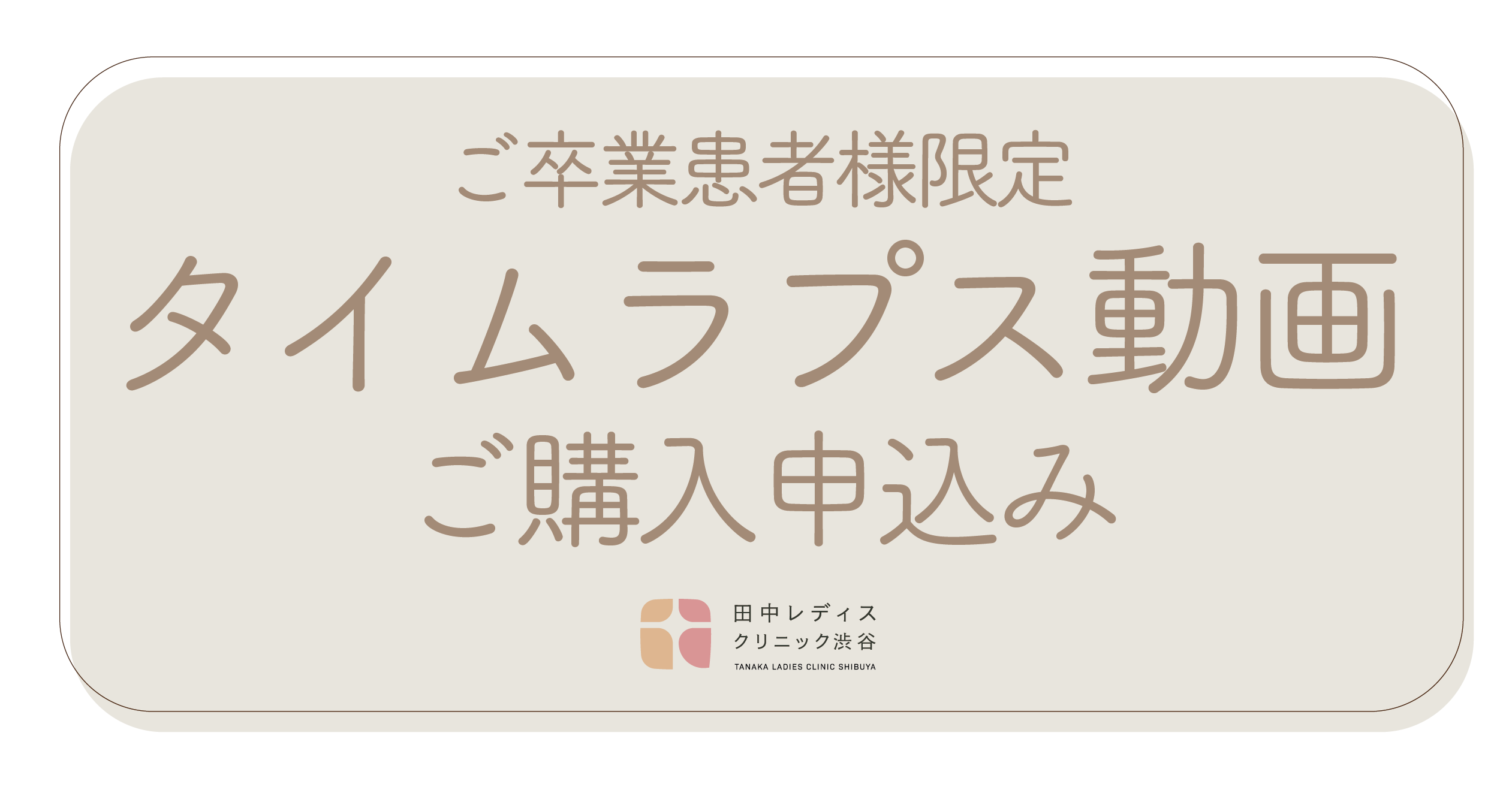 胚タイムラプス動画のご購入申込みページ